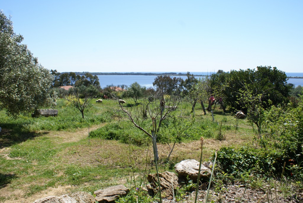 Bioporos, Alevropari, Korfu, Griechenland
